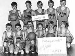 saunalahti.fi Lestelin