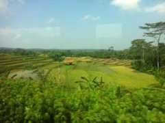 steinunnogingo.blog.is Lestin