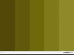 colourlovers.com Letien