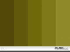 colourlovers.com Letien