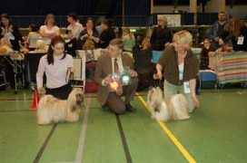kiowas-kennel.com Letoh