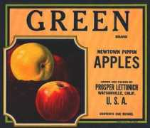 croatia-in-english.com Lettunich