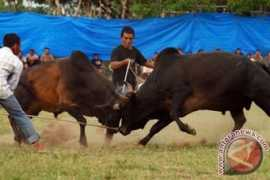 Leumo