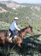 tevis2002.ponyhill.org Leuther