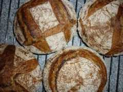 thefreshloaf.com Levain