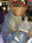 zajicova.bigbloger.lidovky.cz Levandule