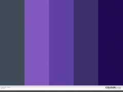 colourlovers.com Levender