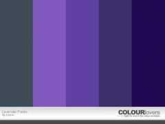 colourlovers.com Levender