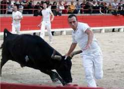 coursecamarguaise.midiblogs.com Leventi