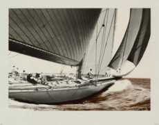 allposters.co.uk Levick