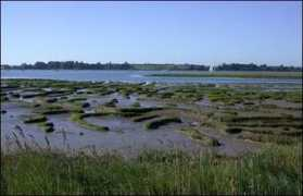 suffolkbirds.co.uk Levington