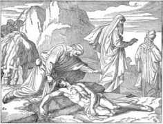 etc.usf.edu Levite