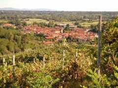 Levone