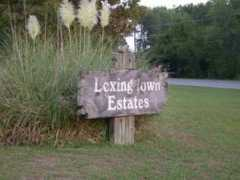 justlexington.com Lexing
