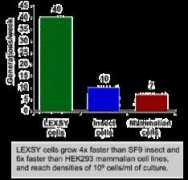 Lexsy