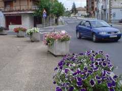 Lezama