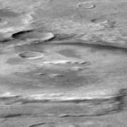 roving-mouse.com Liais