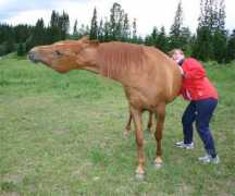 smutthull.net Lialka