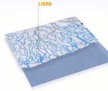 Liama