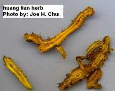 alternativehealing.org Lian