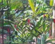 rcollinsart.com Lianas