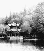 sacu.org Lianhua
