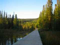 firehorserider.com Liard