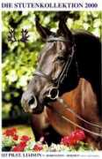 holmetrakehners.com Liason