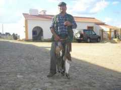 santohuberto.com Libanio