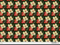 colourlovers.com Libela