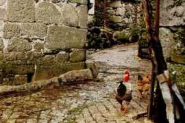 panoramio.com Liberdade