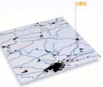 Libic