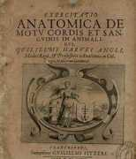 ideal.es Libros
