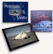 pereda.com.ar Libros