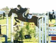 starlightfarm.co.nz Lichita