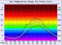 surf-forecast.com Licis