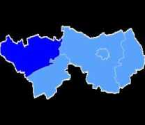 wybory2010.pkw.gov.pl Lidzbarski