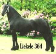 usfriesianreferral.com Liekele