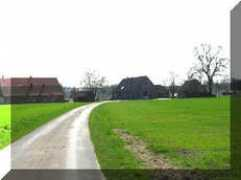 Liesert