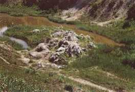 Lieth