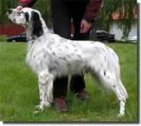 Lievain