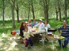 calatorao.com Lifara