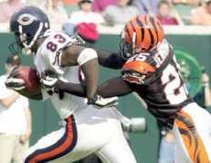 bengals.enquirer.com Ligarius