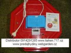 Lihen