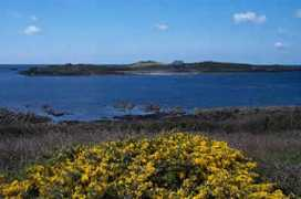 islandlife.org Lihou