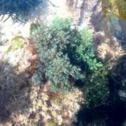 lihouisland.com Lihou