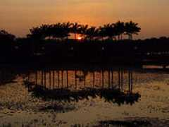 Lijesh