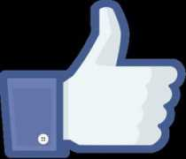 yaleherald.com Liked