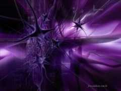 Lilas