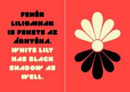 nepeslap.blog.hu Liliom